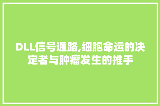 DLL信号通路,细胞命运的决定者与肿瘤发生的推手