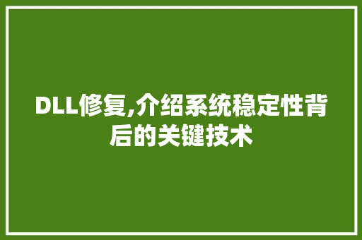 DLL修复,介绍系统稳定性背后的关键技术