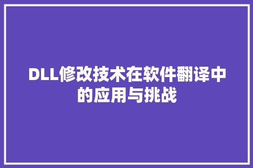 DLL修改技术在软件翻译中的应用与挑战