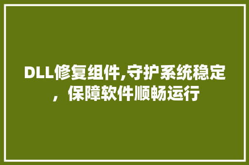DLL修复组件,守护系统稳定，保障软件顺畅运行