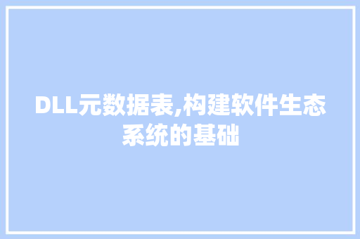 DLL元数据表,构建软件生态系统的基础 网站建设公司