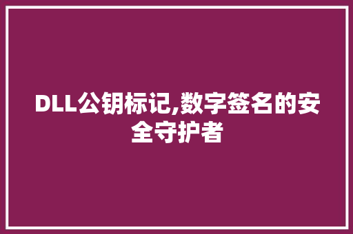 DLL公钥标记,数字签名的安全守护者