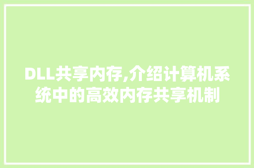 DLL共享内存,介绍计算机系统中的高效内存共享机制