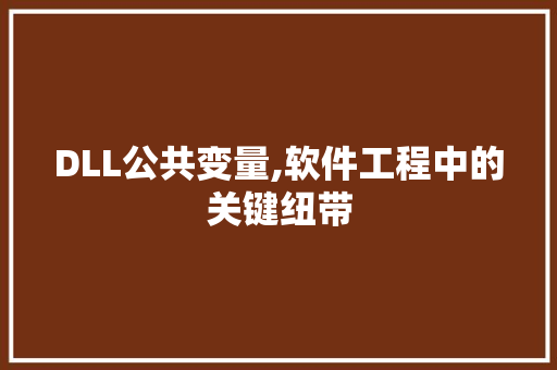 DLL公共变量,软件工程中的关键纽带