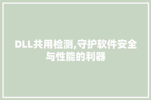 DLL共用检测,守护软件安全与性能的利器