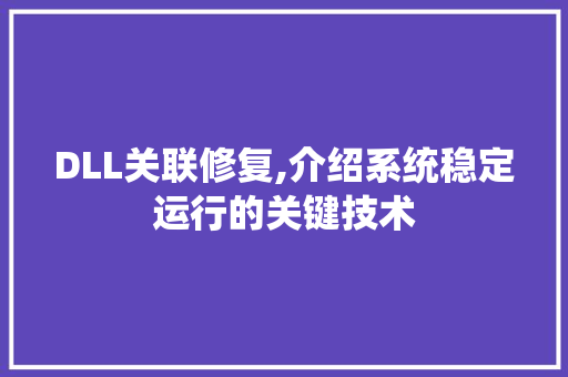 DLL关联修复,介绍系统稳定运行的关键技术