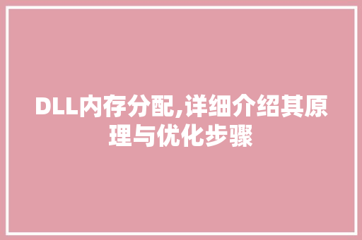 DLL内存分配,详细介绍其原理与优化步骤