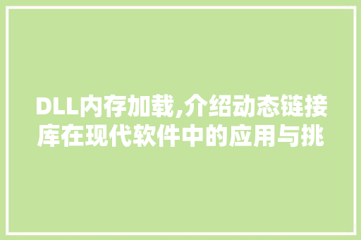 DLL内存加载,介绍动态链接库在现代软件中的应用与挑战