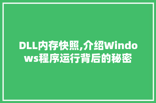 DLL内存快照,介绍Windows程序运行背后的秘密