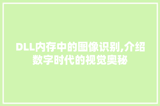DLL内存中的图像识别,介绍数字时代的视觉奥秘