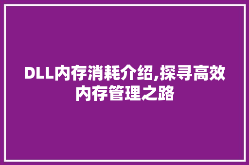 DLL内存消耗介绍,探寻高效内存管理之路