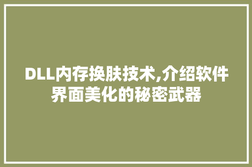 DLL内存换肤技术,介绍软件界面美化的秘密武器