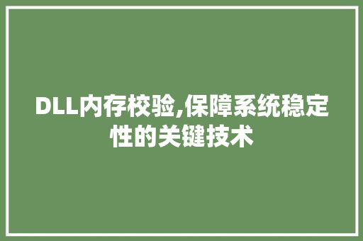 DLL内存校验,保障系统稳定性的关键技术