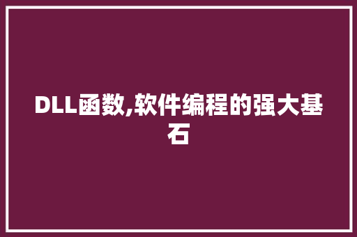 DLL函数,软件编程的强大基石