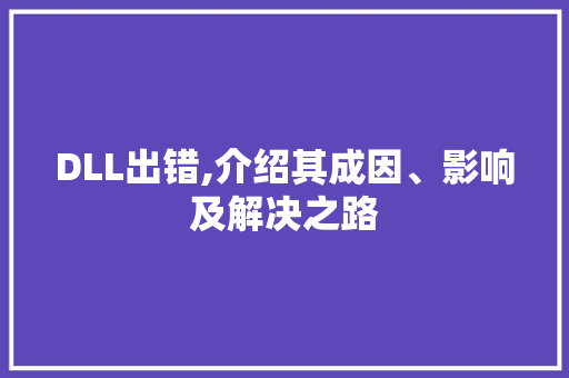 DLL出错,介绍其成因、影响及解决之路