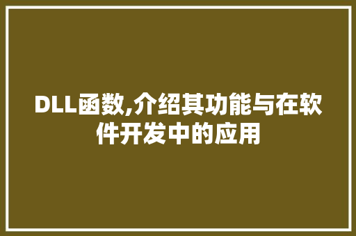 DLL函数,介绍其功能与在软件开发中的应用