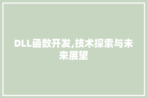 DLL函数开发,技术探索与未来展望