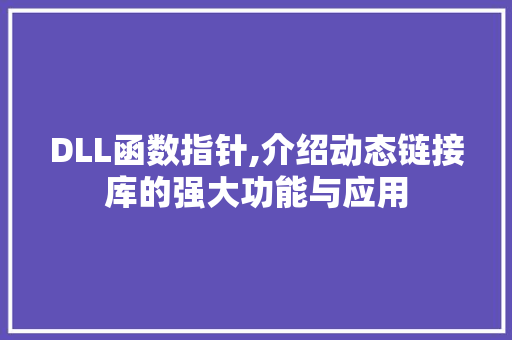DLL函数指针,介绍动态链接库的强大功能与应用
