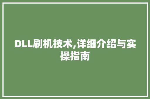 DLL刷机技术,详细介绍与实操指南