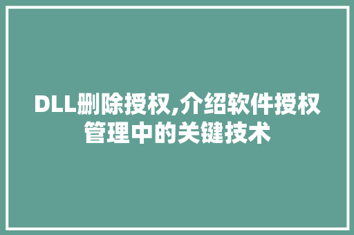 DLL删除授权,介绍软件授权管理中的关键技术