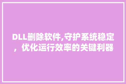 DLL删除软件,守护系统稳定，优化运行效率的关键利器