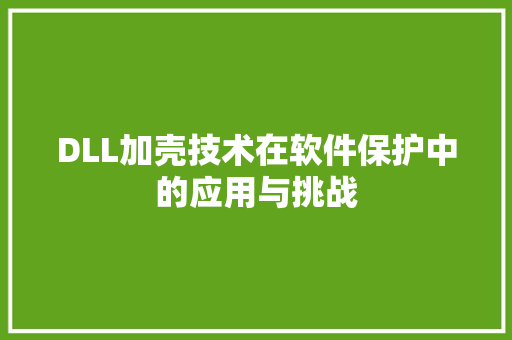 DLL加壳技术在软件保护中的应用与挑战