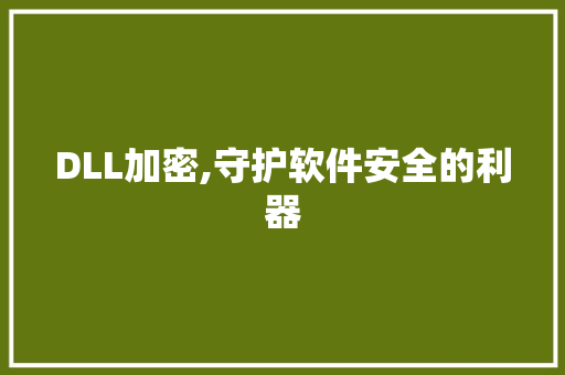 DLL加密,守护软件安全的利器