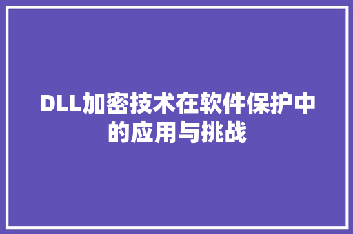 DLL加密技术在软件保护中的应用与挑战