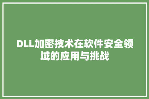 DLL加密技术在软件安全领域的应用与挑战