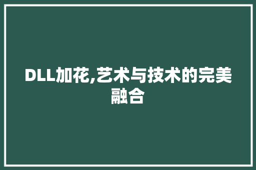 DLL加花,艺术与技术的完美融合