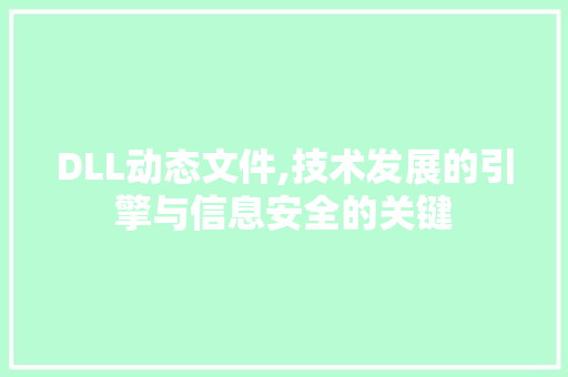 DLL动态文件,技术发展的引擎与信息安全的关键