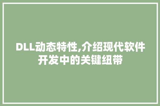 DLL动态特性,介绍现代软件开发中的关键纽带 百度SEO