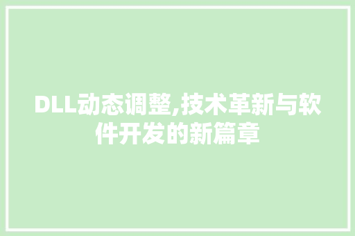 DLL动态调整,技术革新与软件开发的新篇章 SEO关键词
