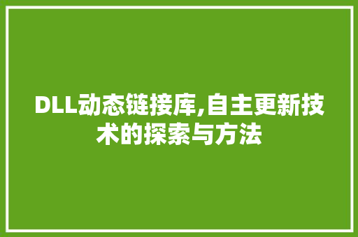 DLL动态链接库,自主更新技术的探索与方法