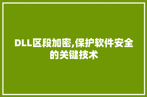 DLL区段加密,保护软件安全的关键技术