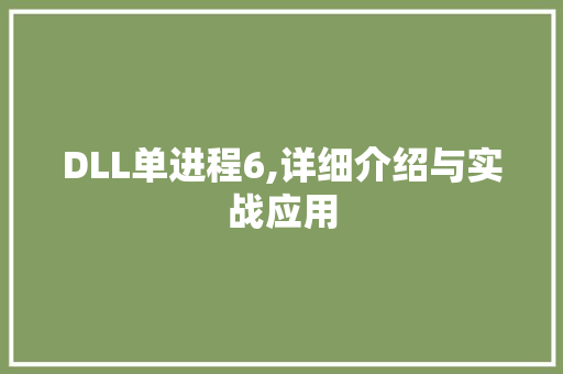 DLL单进程6,详细介绍与实战应用