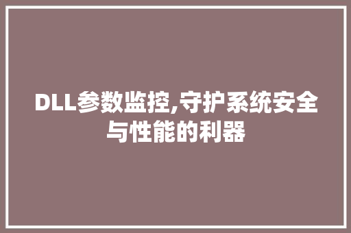 DLL参数监控,守护系统安全与性能的利器