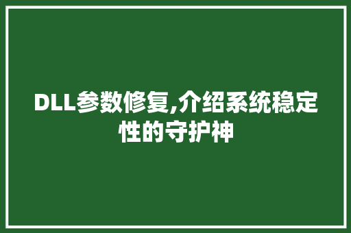 DLL参数修复,介绍系统稳定性的守护神