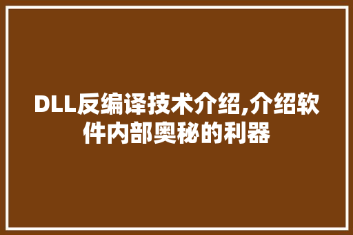 DLL反编译技术介绍,介绍软件内部奥秘的利器 SEO关键词