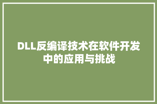 DLL反编译技术在软件开发中的应用与挑战