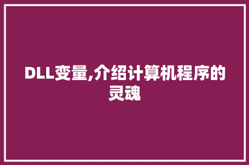 DLL变量,介绍计算机程序的灵魂