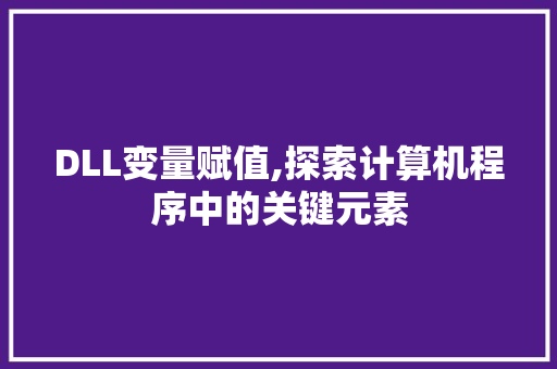 DLL变量赋值,探索计算机程序中的关键元素