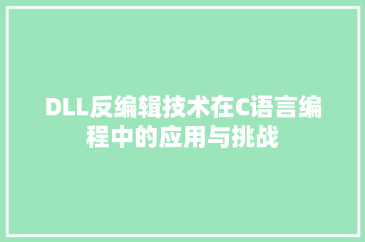 DLL反编辑技术在C语言编程中的应用与挑战
