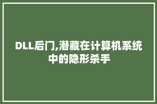 DLL后门,潜藏在计算机系统中的隐形杀手