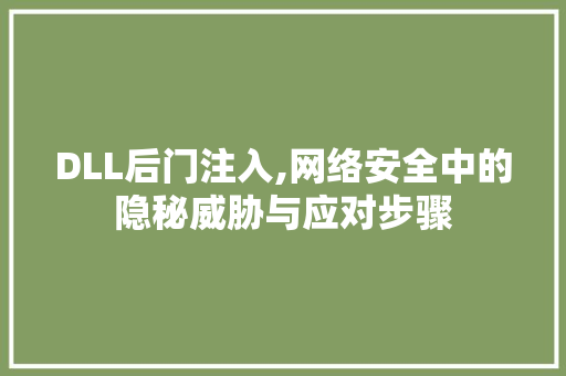 DLL后门注入,网络安全中的隐秘威胁与应对步骤