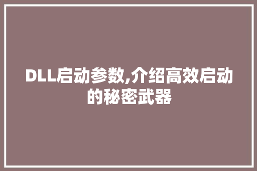 DLL启动参数,介绍高效启动的秘密武器