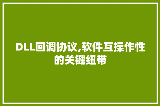 DLL回调协议,软件互操作性的关键纽带