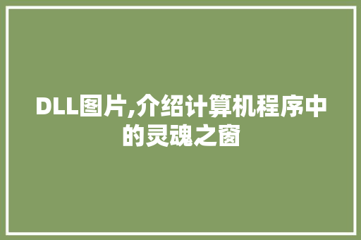 DLL图片,介绍计算机程序中的灵魂之窗