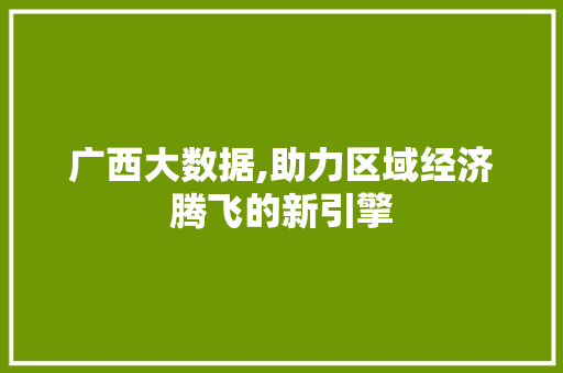 广西大数据,助力区域经济腾飞的新引擎 必应SEO