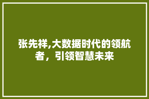 张先祥,大数据时代的领航者，引领智慧未来 必应SEO